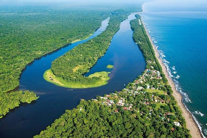 Tortuguero National Park one day tour